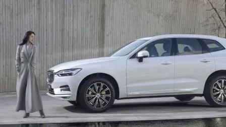 陈漫旗下品牌有哪些商标,陈漫代言铂爵