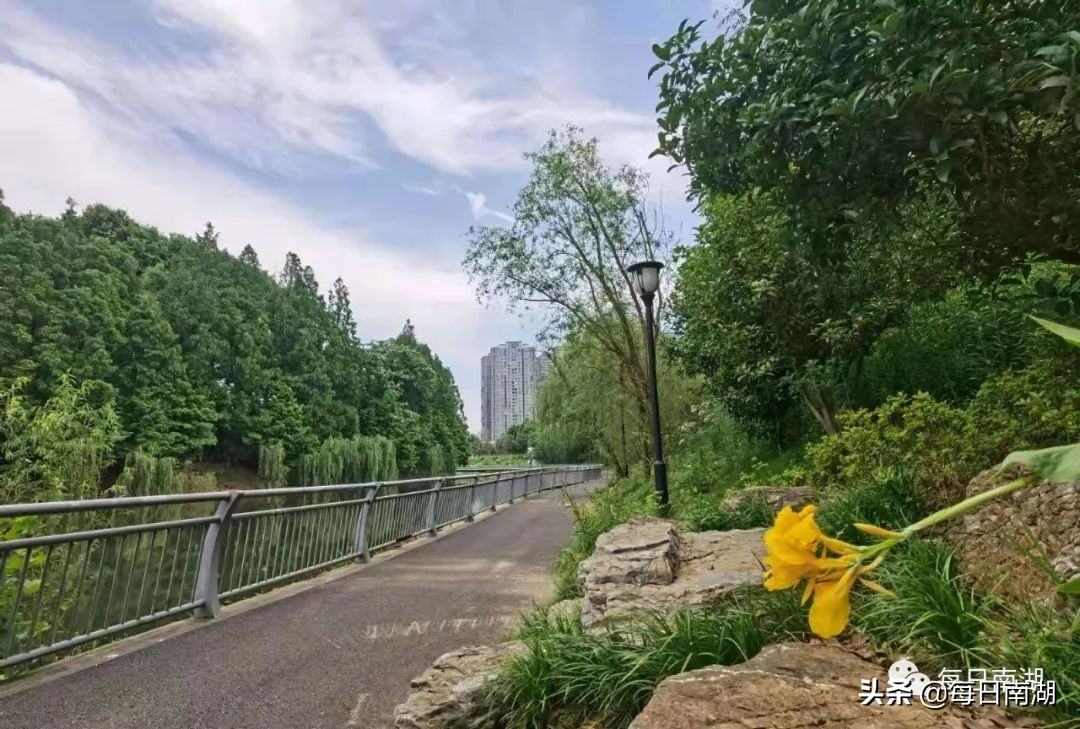 南湖的生态公园,南湖公园在未来哪里