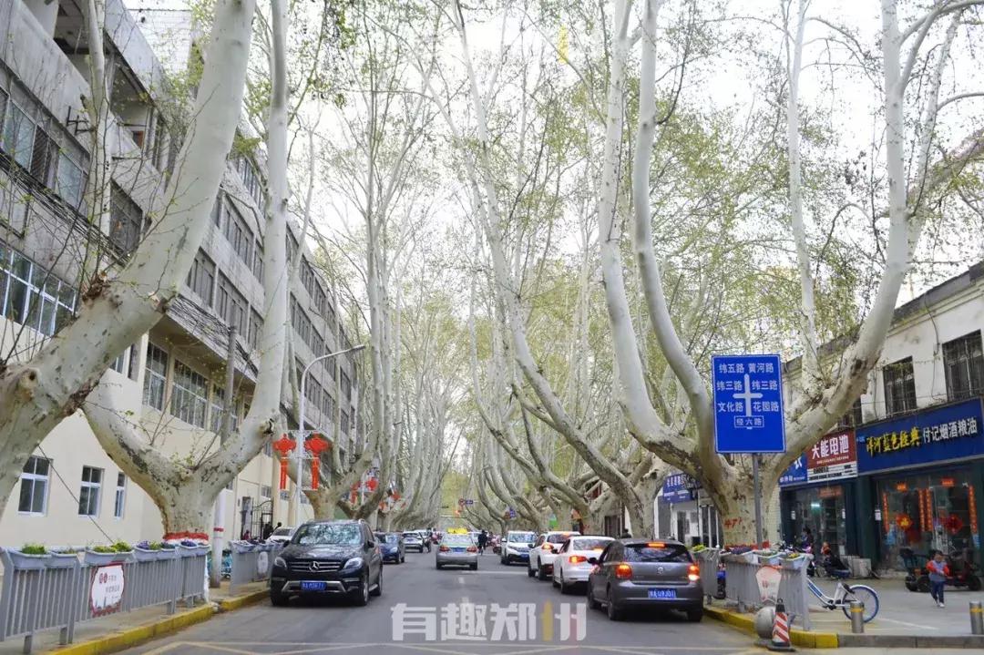 在纬一路和农科路酒吧街，嗨一场成年人的游戏