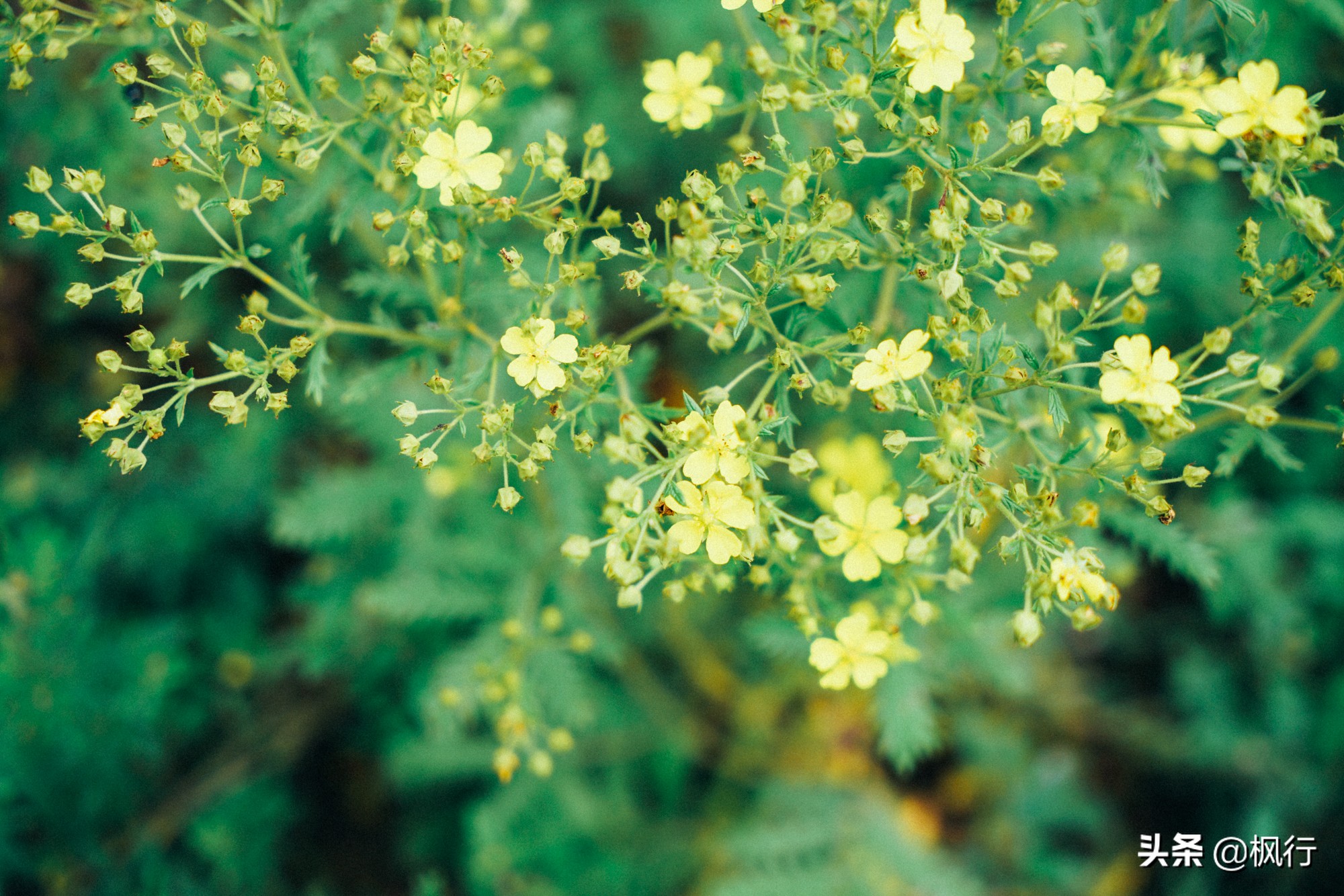 度假不逛景点适合去哪里,度假不必去远方