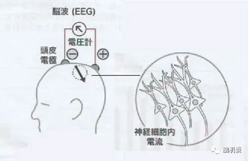 ​《脑机往事（3）—维达尔的秘密》