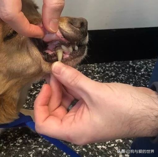 鏅氫笂瀹堕噷杩涗簡涓嶆槑鐢熺墿,鐢峰瓙鍗婂鍥炲閬囦笂涓嶆槑鐢熺墿