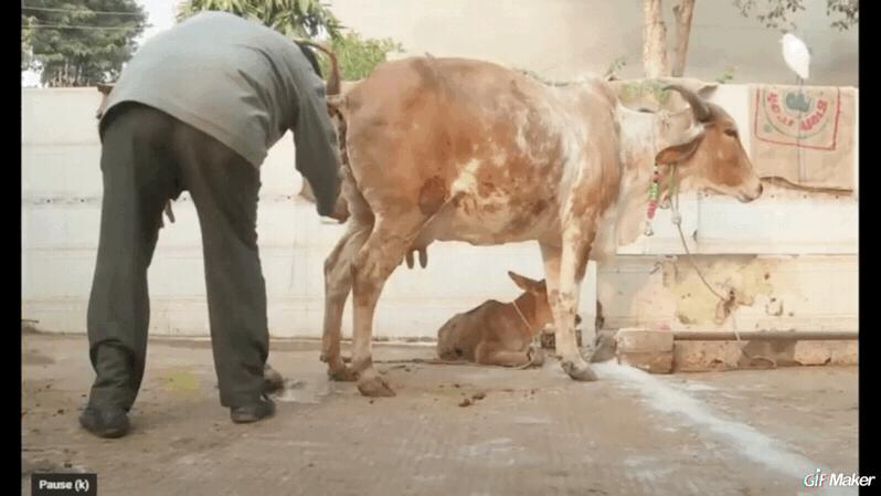 印度有没有食品添加剂,印度食品有添加剂吗