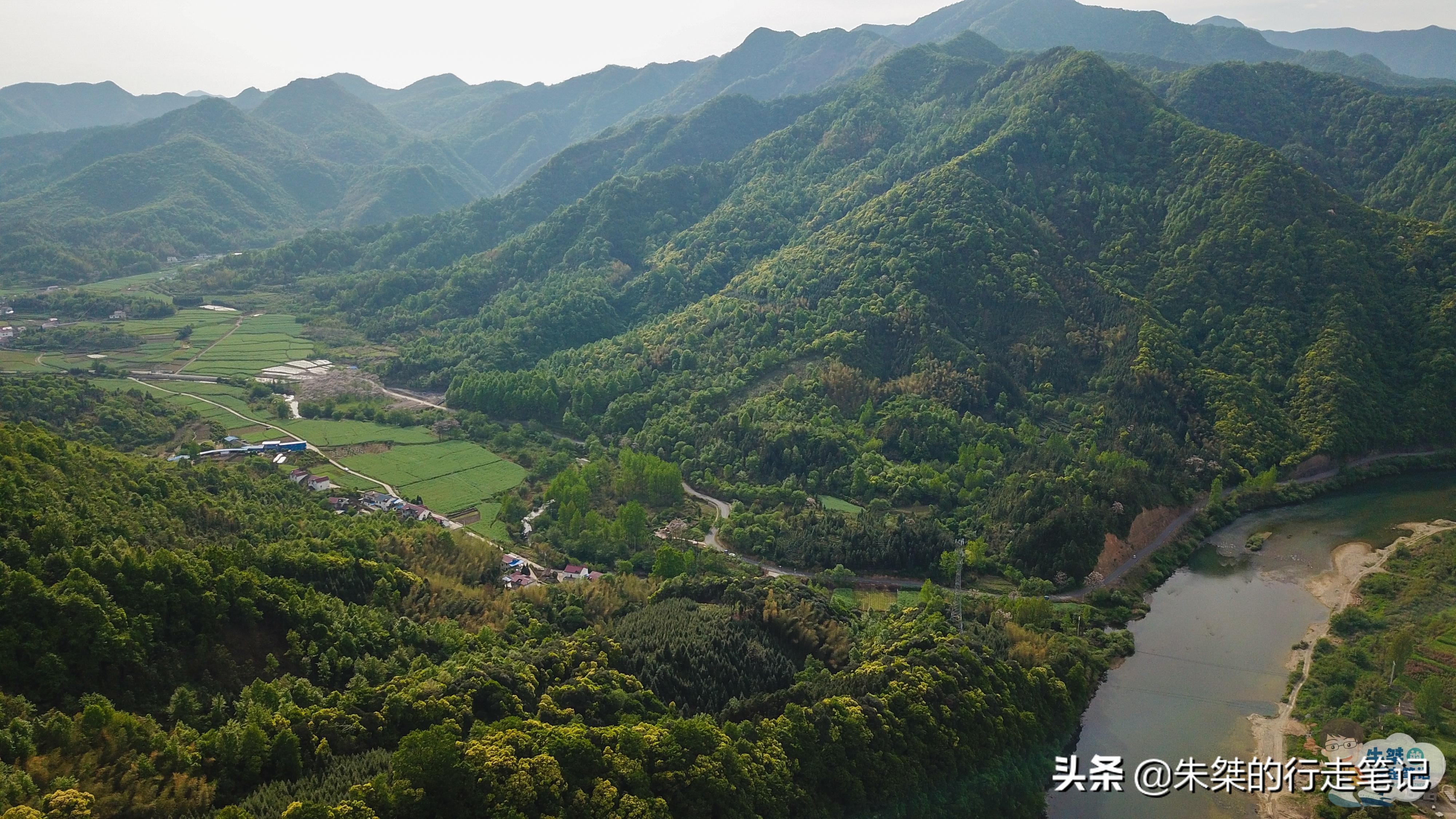 安徽石台体验不一样的自然风光,石台县原始森林