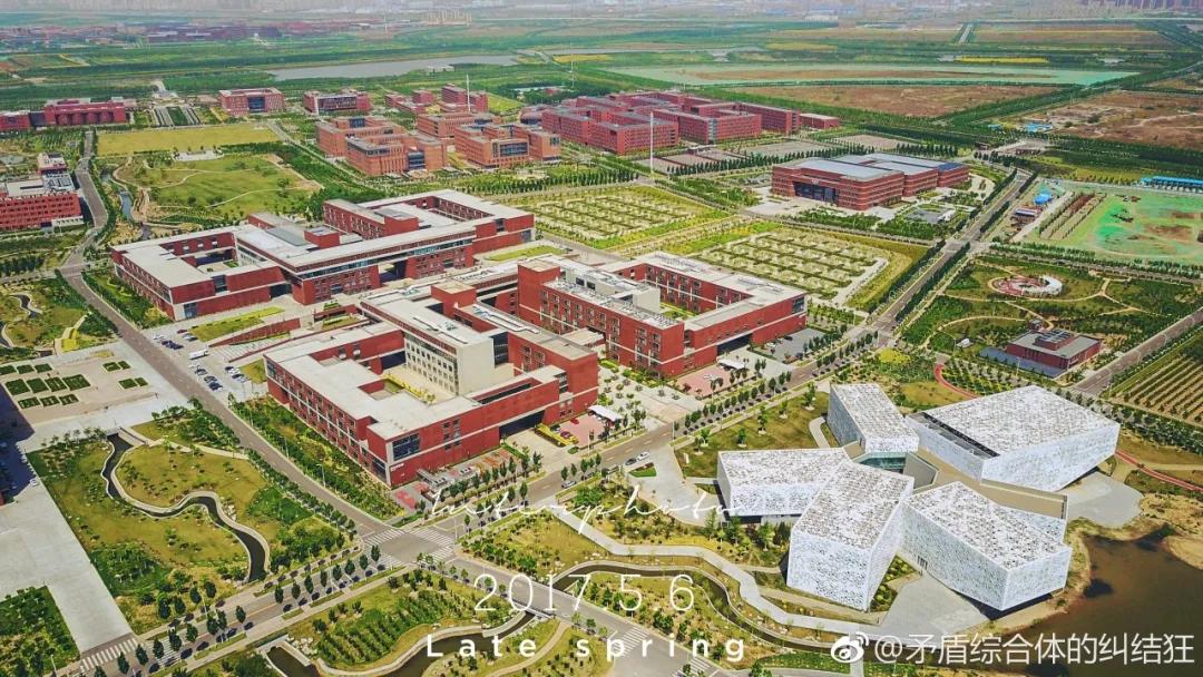 津南区打架,津南区打架视频