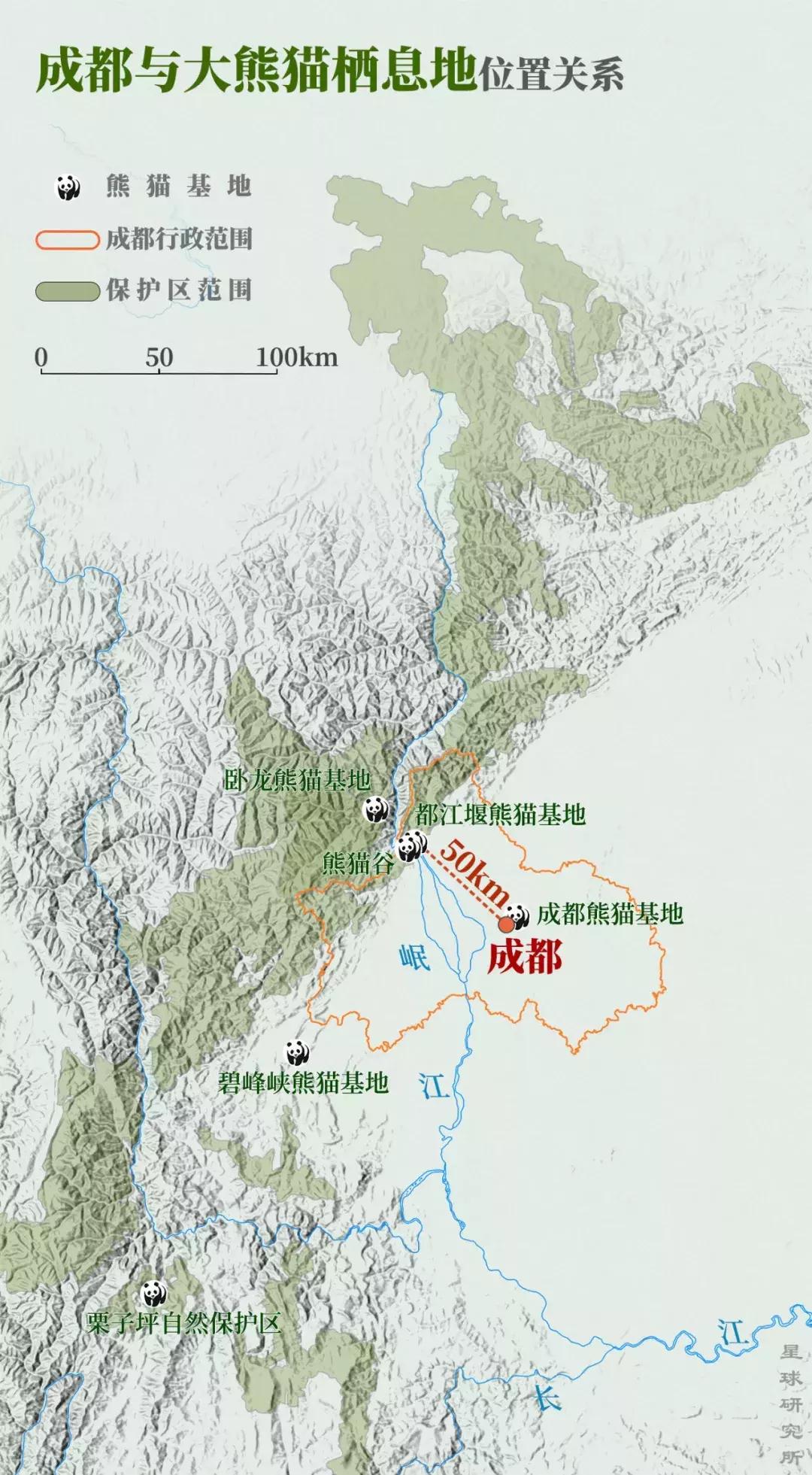 你才可爱你全家都可爱怎么回,你才可爱你全家都可爱出处