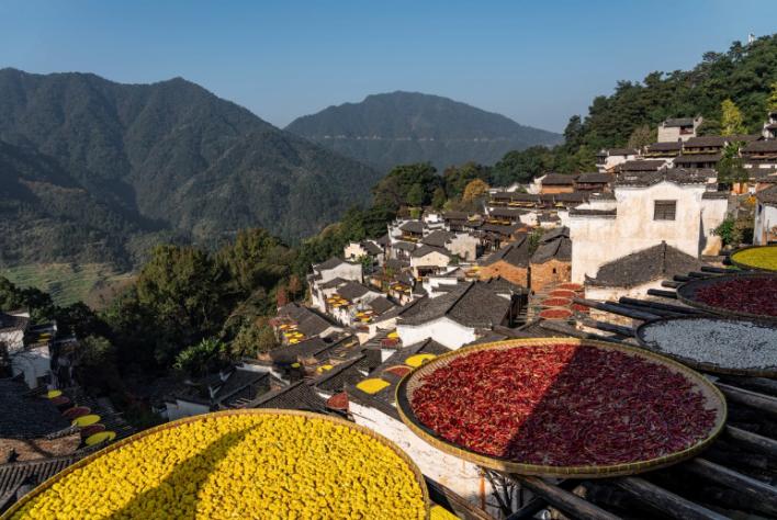 一杯美酒醉春风,一杯醇酿醉春风全文