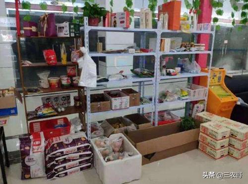 农村三大赚钱的项目有哪些,利润很吓人的10个冷门农村项目