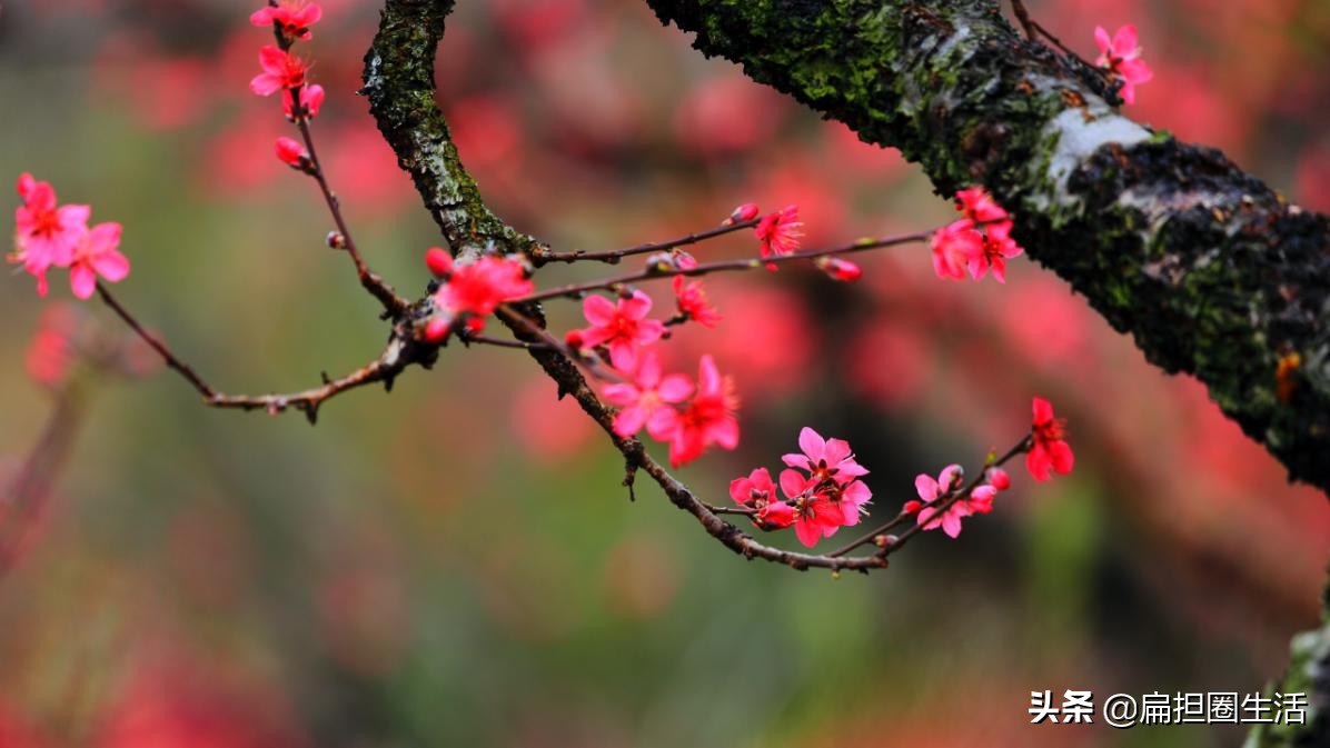 李煜人生长恨水长东什么意思,李煜人生长恨水长东