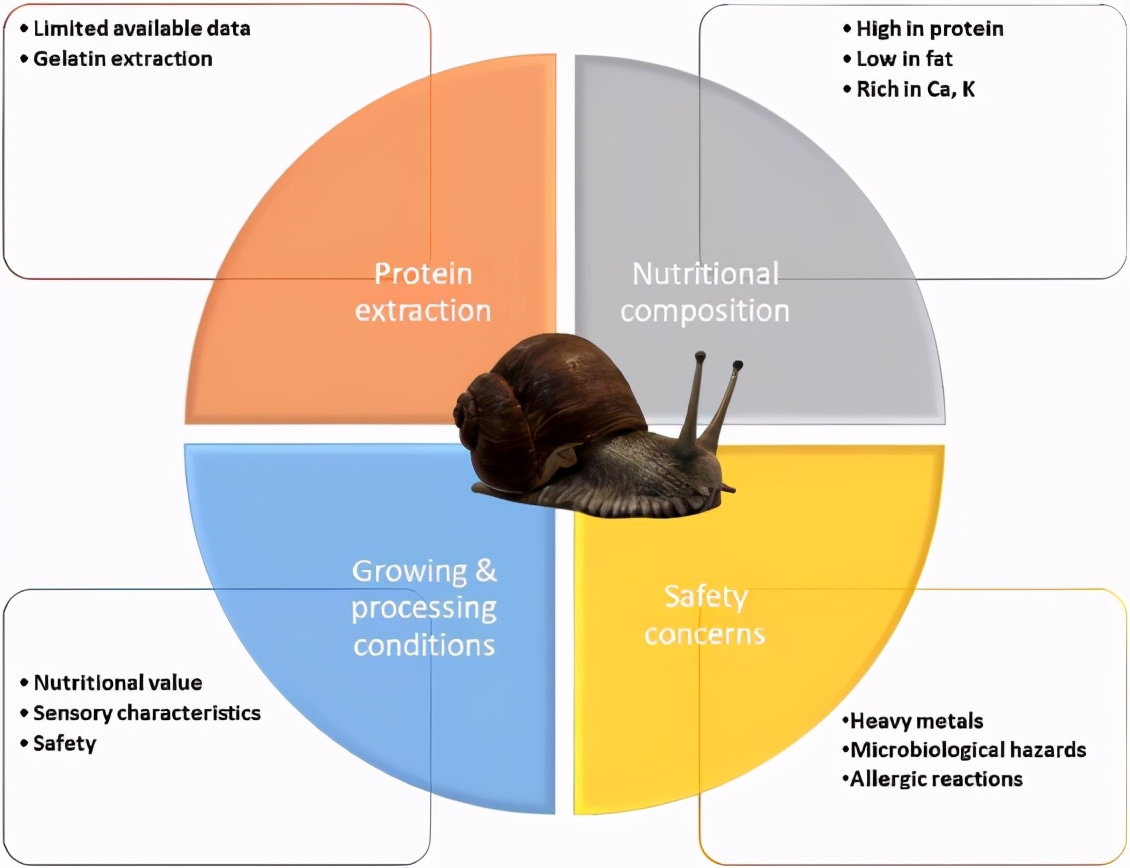 香港博士撒盐杀死蜗牛后续,香港博士生因撒盐杀害蜗牛后续