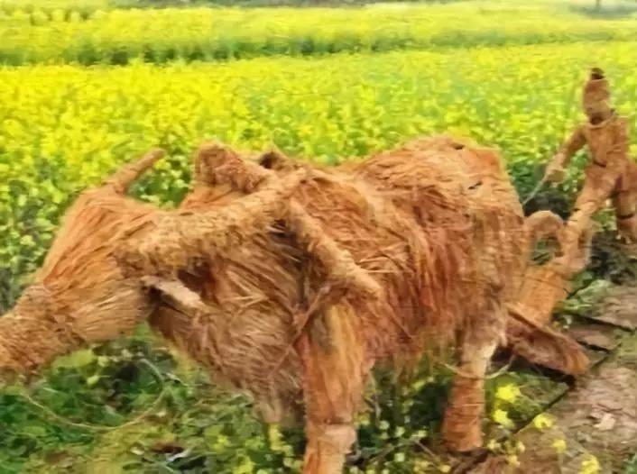 2020美到窒息！珠海的冬天，美炸了