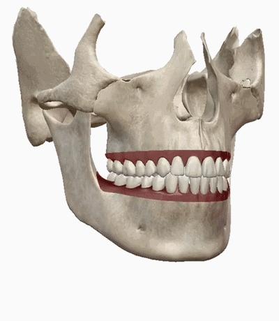 最有效干货来了：提升凹陷太阳穴、平衡高低颧骨