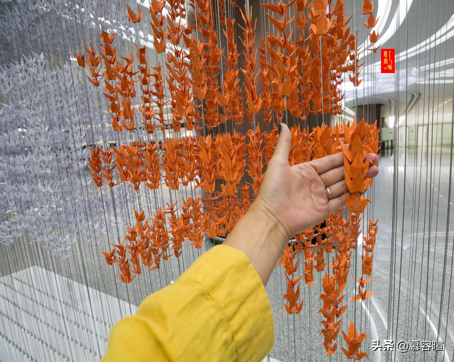 草桥免费到大兴机场,从草桥到大兴机场票价