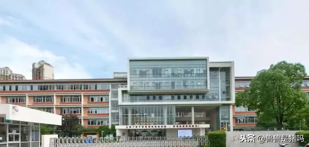 苏州有哪些五年一贯制学校,苏州园区九年一贯制学校排名