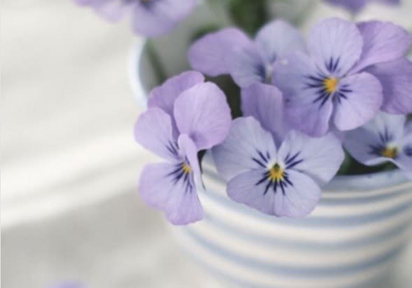 一个凤凰男的醒悟：不给女友情人节礼物，活该分手