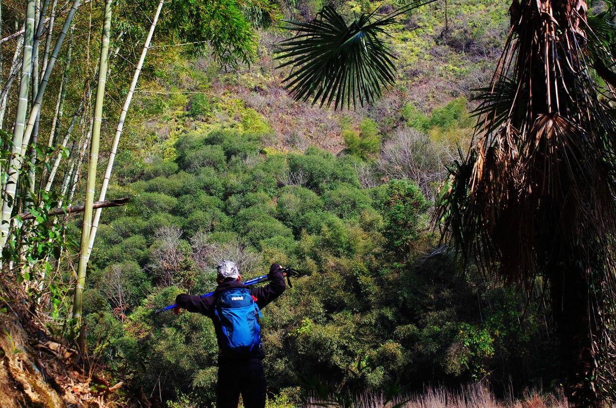 那么多的户外包，到底怎么选择、怎么收纳、怎么背？