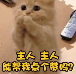 卡纳瓦罗广州恒大第一次执教,卡纳瓦罗广州恒大集锦