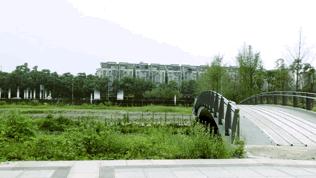 打围了啷个久的五湖四海有新动作！家门口又一个大型公园即将开放