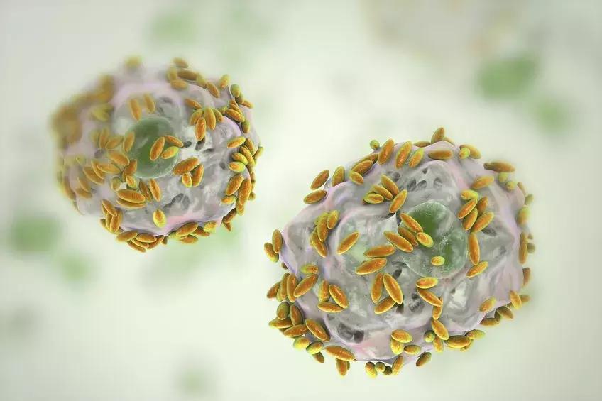 女人怒伤肝有什么表现,女人容易动怒怎么治疗