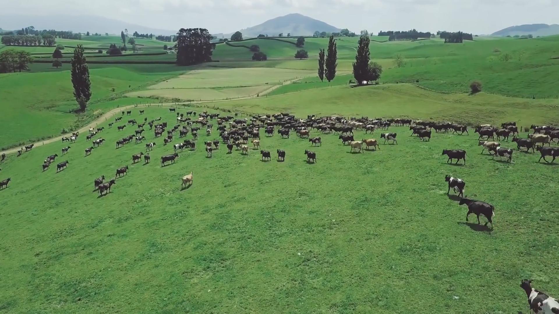 自然灾害来临前的征兆,自然灾害不可控安全事故