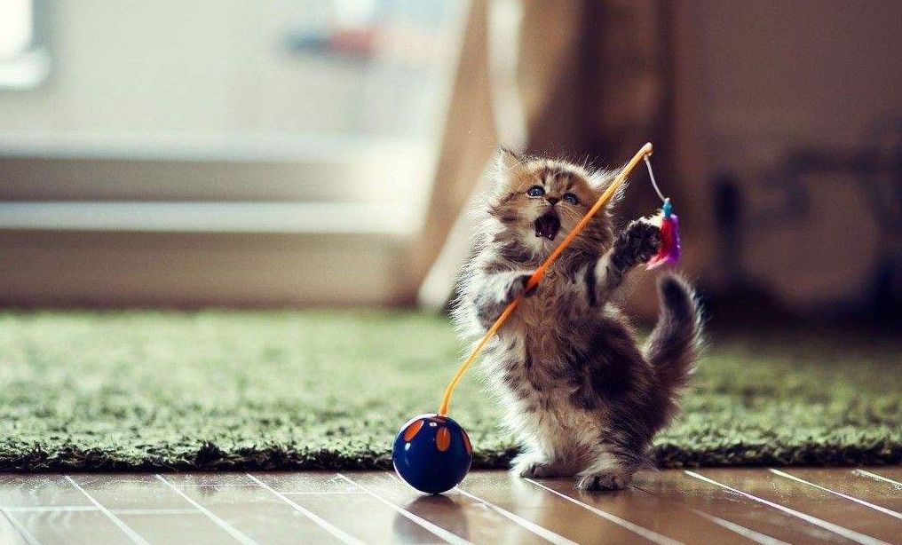 朋友圈很压抑吗,12星座朋友圈常态