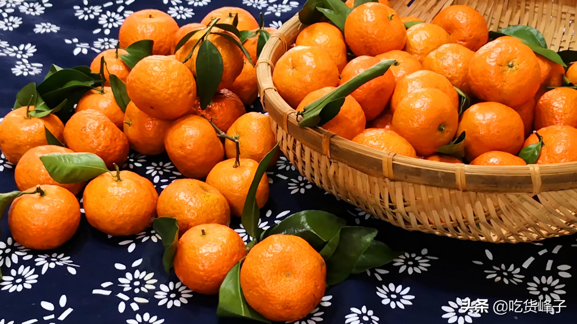 砂糖橘怎么选才是最甜的,买砂糖桔的注意事项
