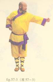 少林心意门拳视频教程,少林长护心意拳图解