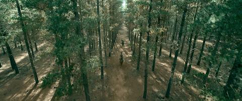 真三国无双历代好评最高,最新一代的真三国无双