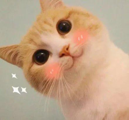 女性经期可以去健身房锻炼吗,女性经期健身么