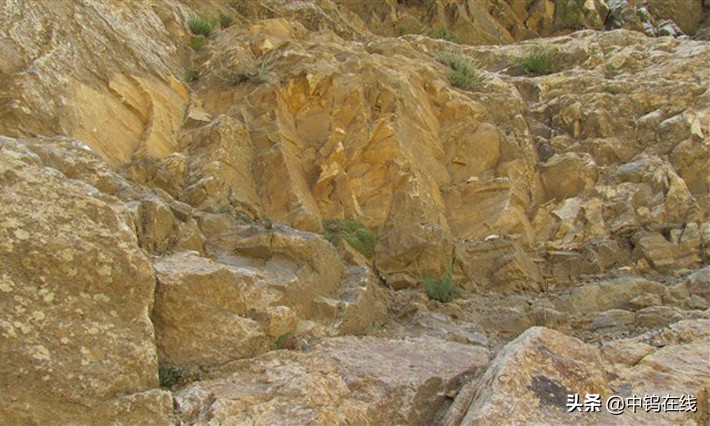 阿富汗金山上的乞丐,阿富汗坐拥金山银山的乞丐