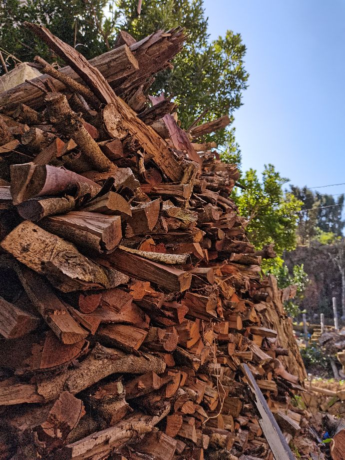 温州瓯海古洞岩景区,温州市瓯海仙岩风景区