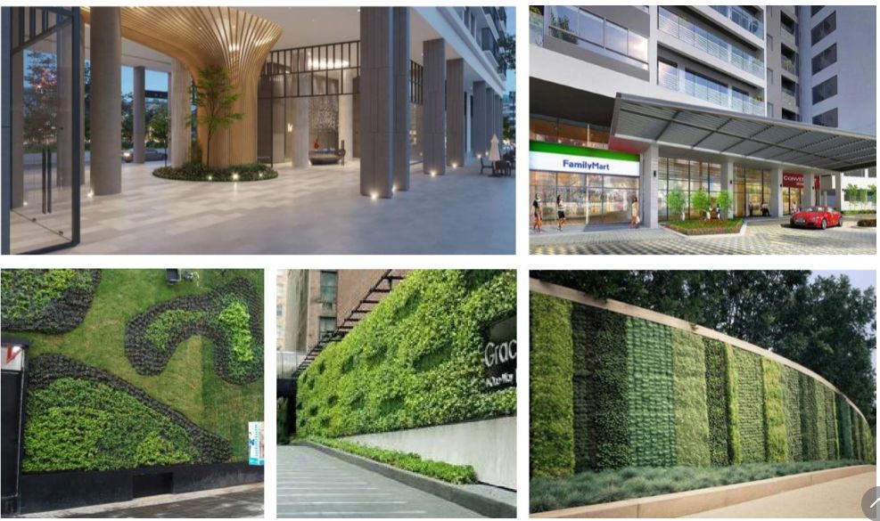 在柬埔寨办理泰国签证,中国去柬埔寨要签证吗