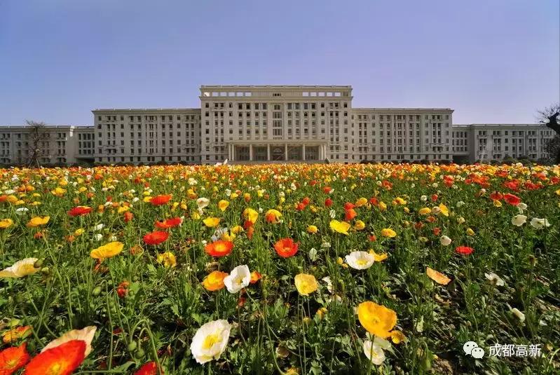 致敬岁月，未来可期！穿越30年带你看成都高新30个第一