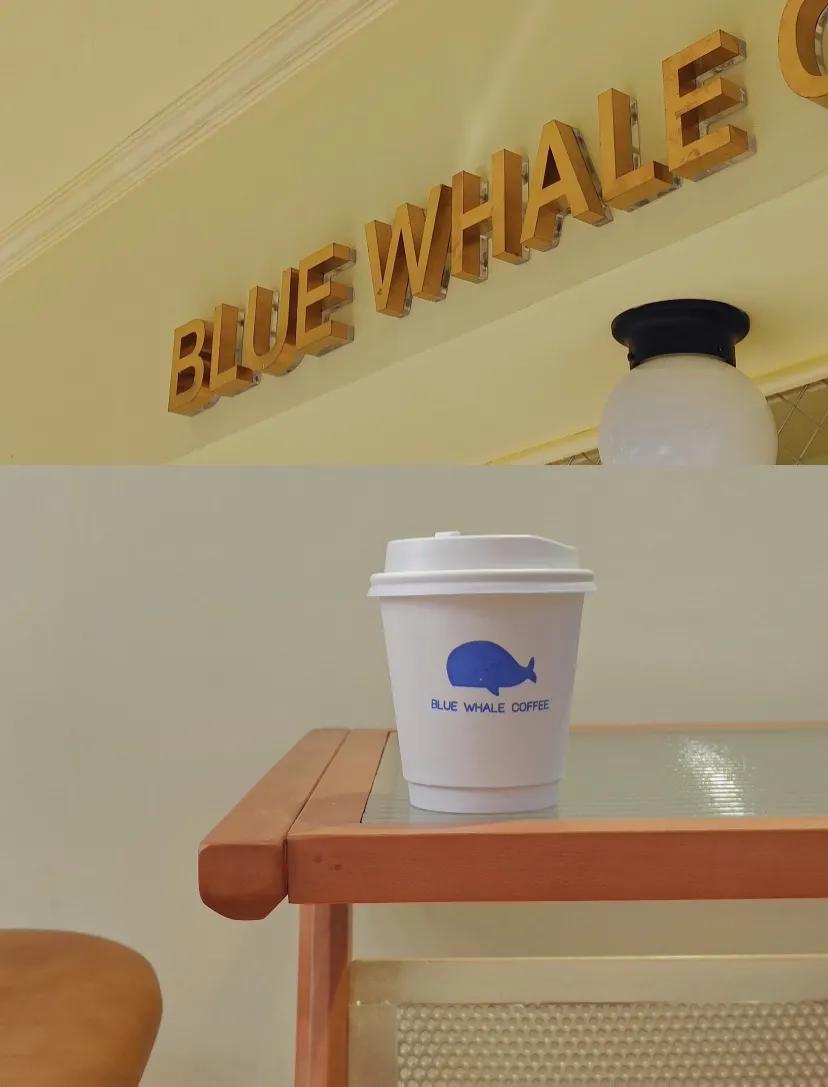 南京版“武康路”火了！藏在市区的南台巷到底有多少宝藏？