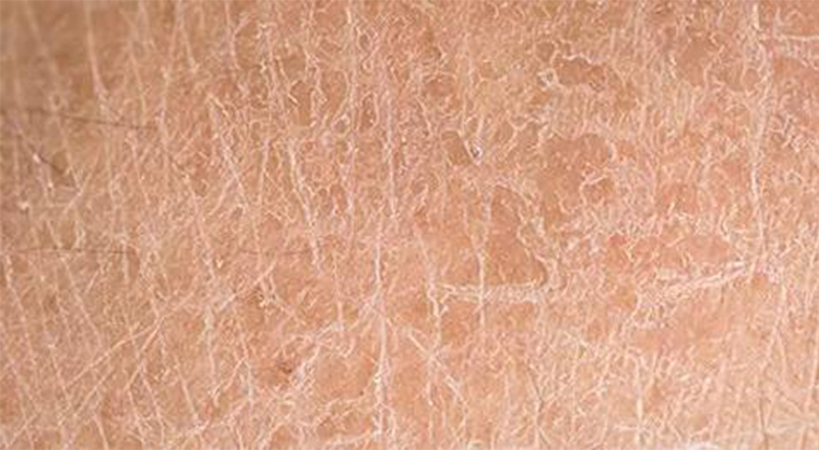 冬天的身体乳推荐哪款好,秋冬身体乳怎么选看这篇就够了