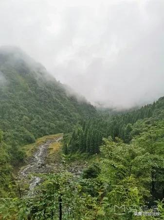 温度升高之前采摘樱桃,成都周边可摘樱桃的古镇