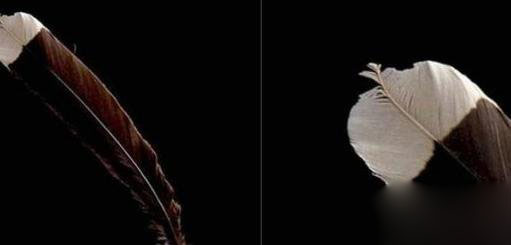 世界上最贵的物质10大奢侈品,世界上最昂贵10样东西