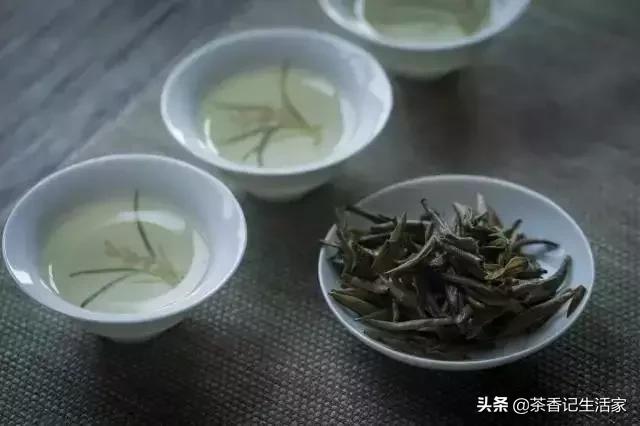 白茶好喝吗什么口感,是不是所有的白茶都是越放越好喝
