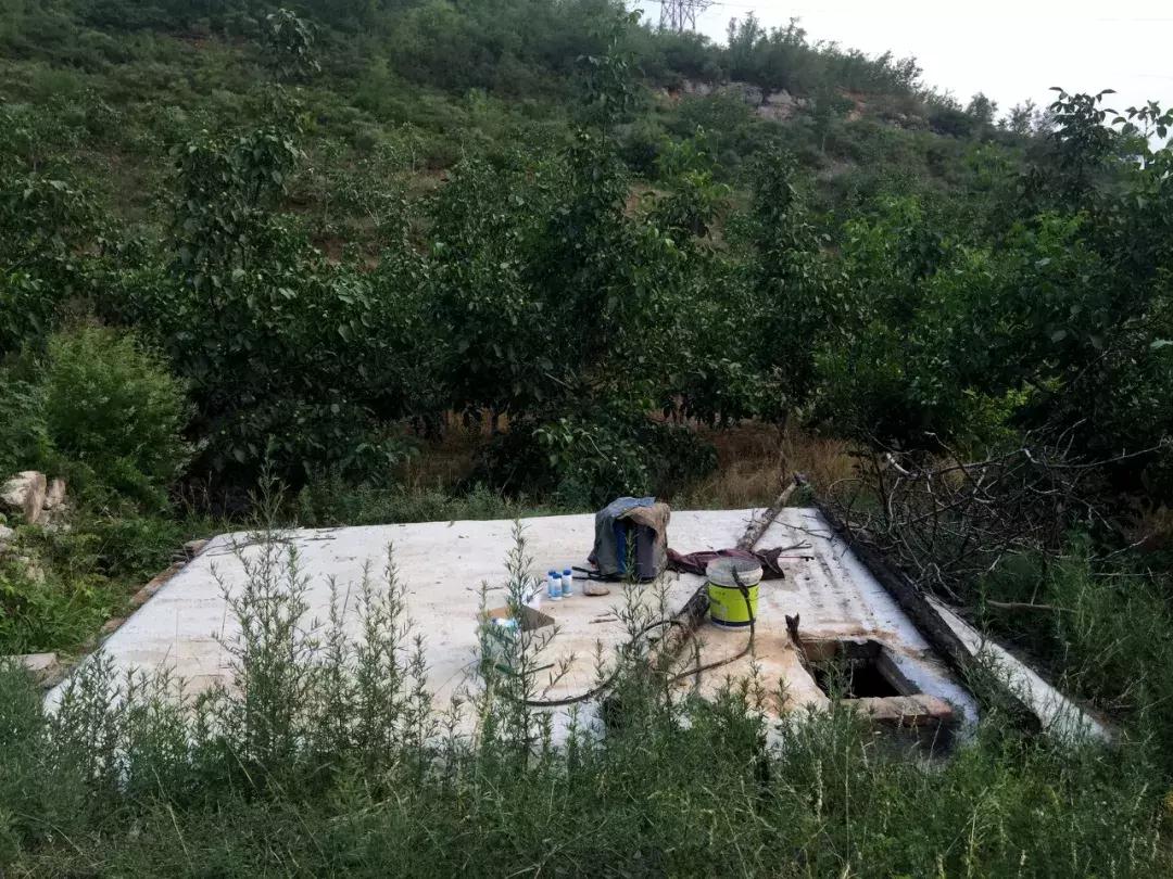 井陉县创业代理,井陉县加盟项目