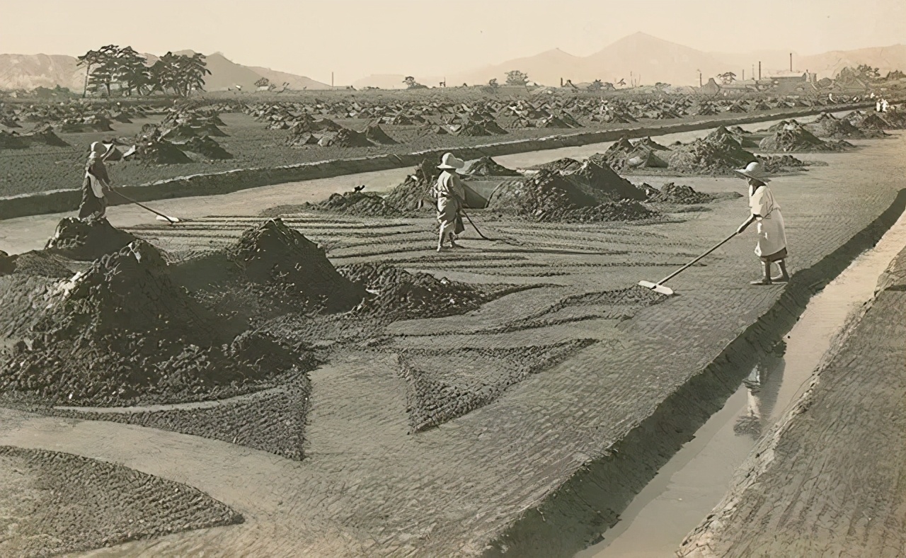 赞岐乌冬面,赞岐乌冬面180克