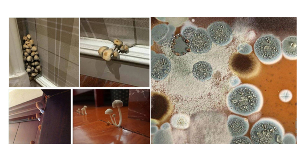 卫生间水管漏水怎样查找漏水点,重庆厕所漏水到楼下怎么处理