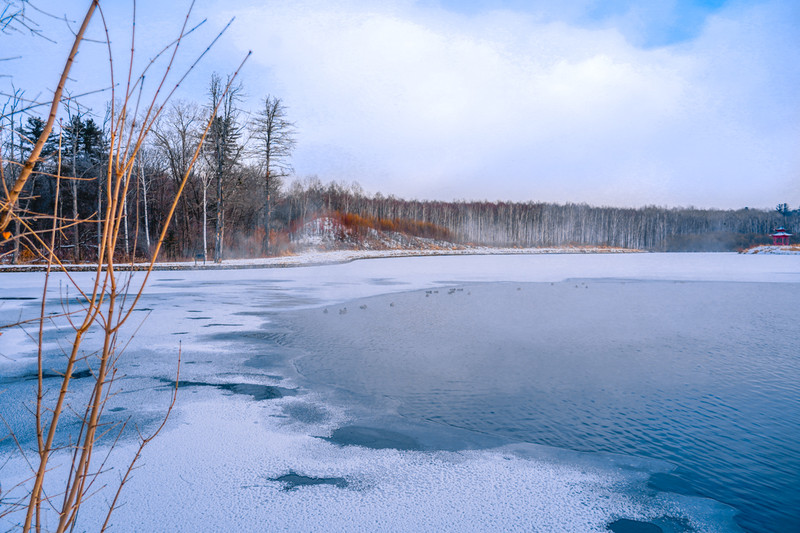 冰雪总动员简介,冰雪总动员