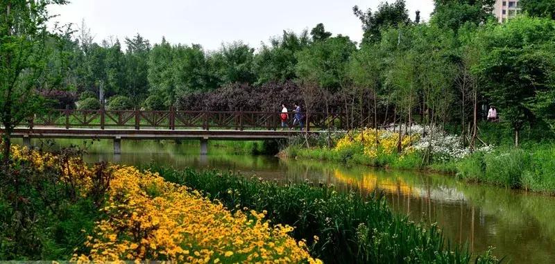 洛阳适合休息的公园,洛阳免费公园景点大全