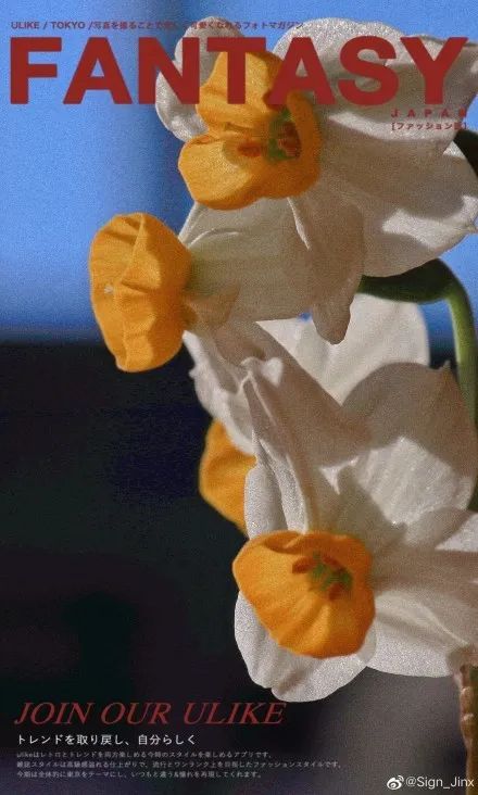 网友做的电视剧海报,让人惊艳的电影海报