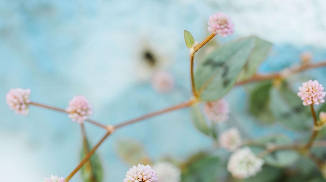 金牛女如何让双鱼男死心塌地,怎么让双鱼男彻底死心塌地