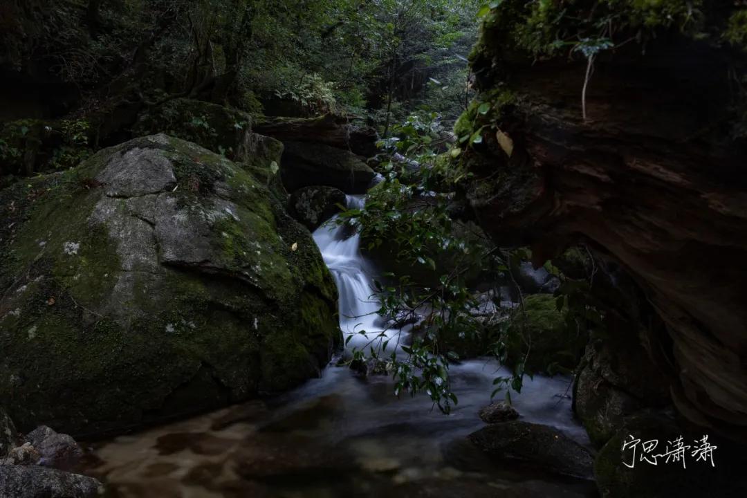 “5”缘有缘我与摄影的故事也是我与佳能“5”的故事