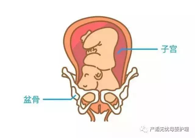 做盆骨的注意事项,怎么知道盆骨有没有达到要求