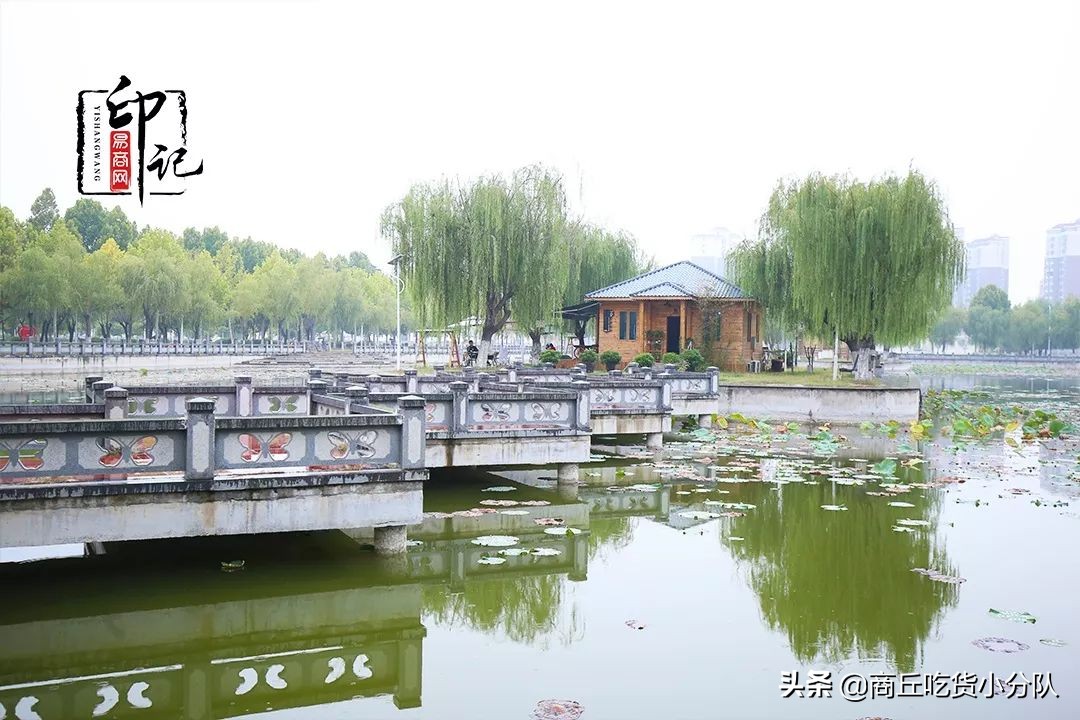 商丘师范学院里面的文化底蕴,在商丘的真实感受