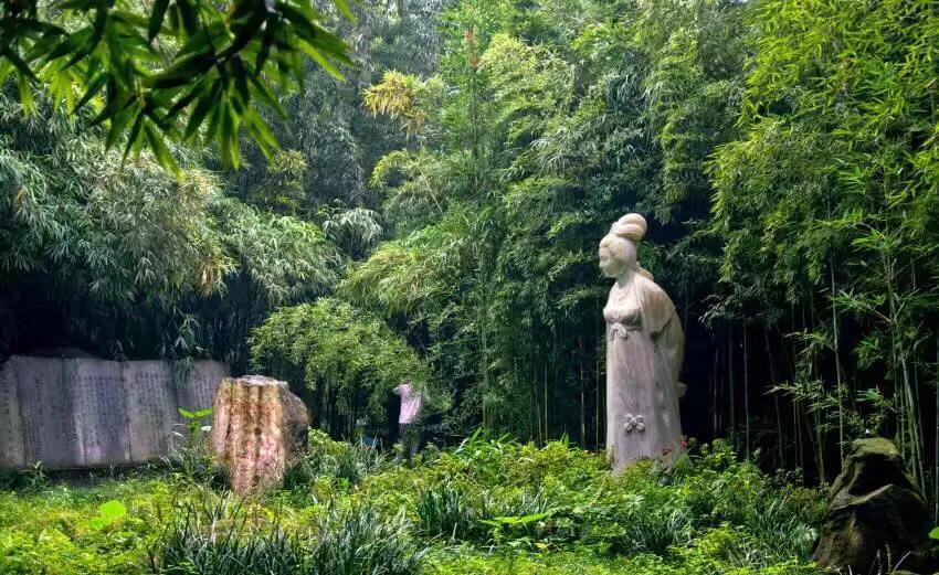 成都望江楼公园简介,成都望江楼公园要门票吗