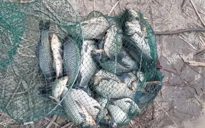 野钓鲫鲤最强窝料,四五月份钓鲫鲤用什么窝料